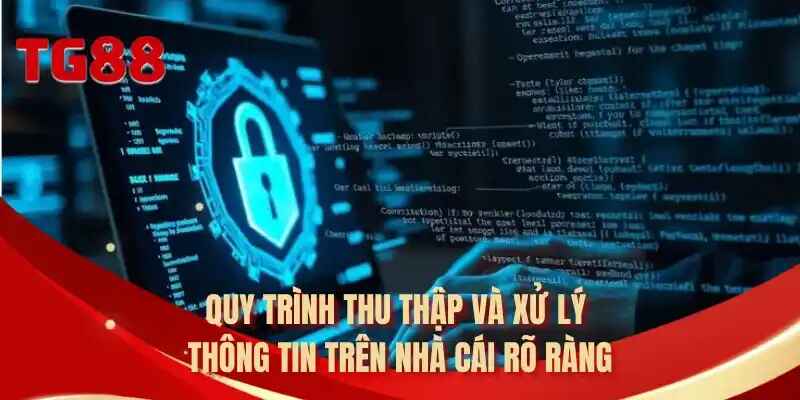 Quy trình thu thập và xử lý thông tin trên nhà cái rõ ràng